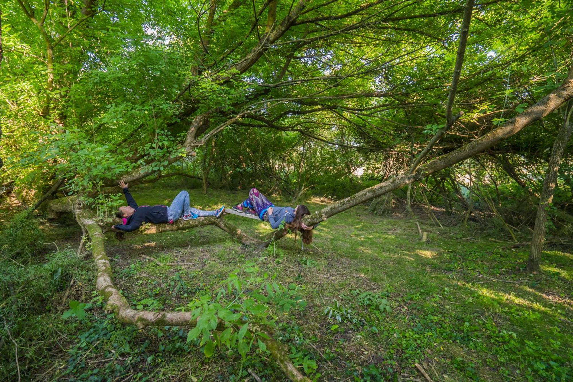 Szellos Ret Camping Balvanyos Luaran gambar