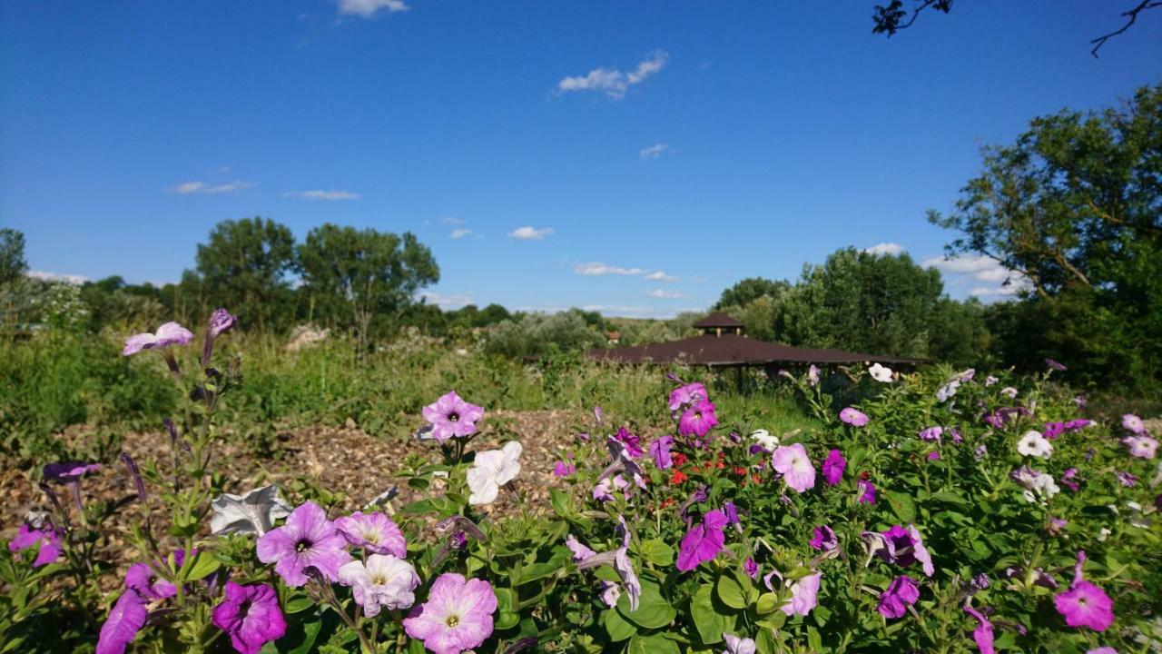 Szellos Ret Camping Balvanyos Luaran gambar