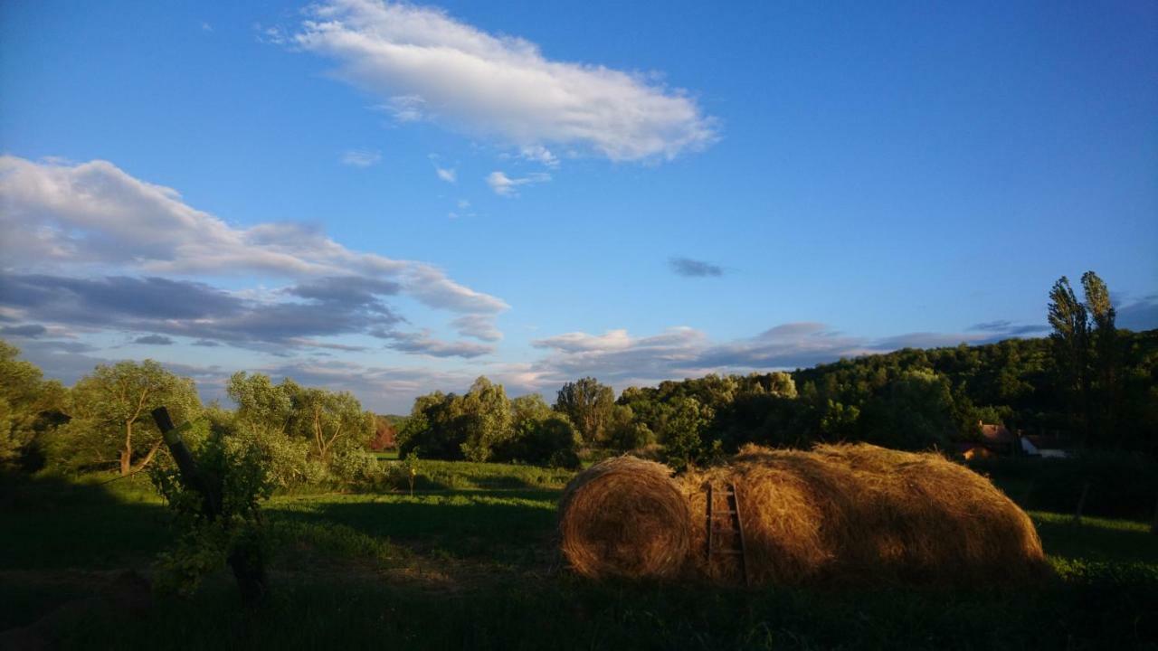 Szellos Ret Camping Balvanyos Luaran gambar